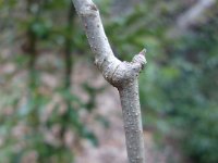DSC02275
