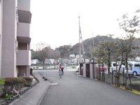 RIMG8238