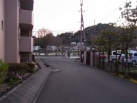 RIMG8239