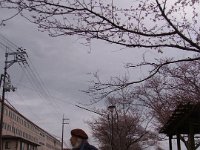 RIMG8268