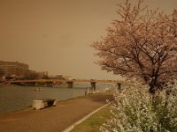 DSC02521