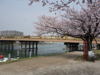 DSC02526