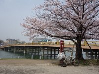 DSC02529