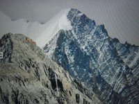 RIMG8458