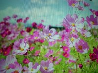 RIMG8497