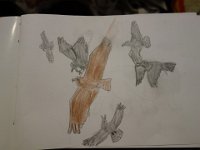 DSC02545