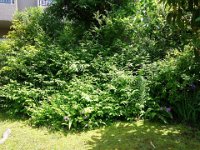 DSC02632