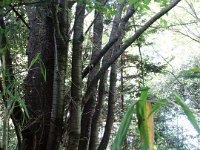 DSC02645