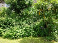 DSC02660