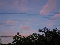 DSC02922
