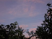 DSC02926