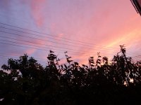 DSC03073