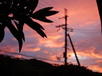 DSC03075