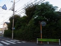 RIMG9747