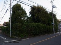 RIMG9749