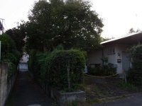 RIMG9750