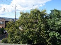 DSC03281