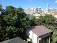 DSC03282