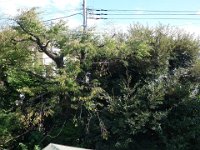 DSC03285