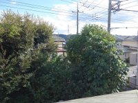 DSC03286