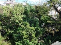 DSC03290