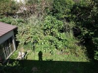 DSC03291