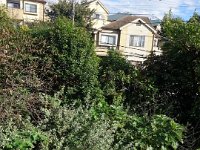 DSC03295