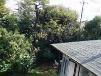 DSC03297