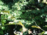 DSC03298