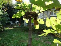 DSC03300