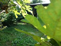 DSC03301