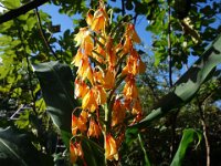 DSC03305