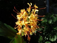 DSC03309