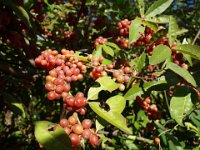 DSC03311
