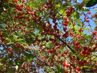 DSC03314