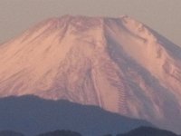 RIMG0137