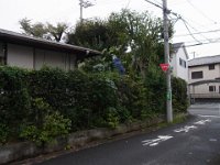 RIMG0186