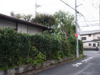 RIMG0190