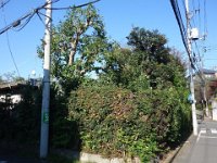 DSC03339