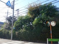 DSC03340