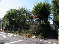 RIMG0209