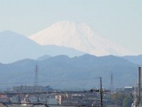 RIMG0217