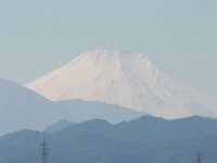 RIMG0223