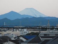RIMG0233
