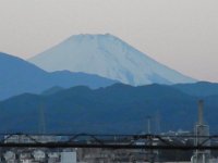RIMG0234