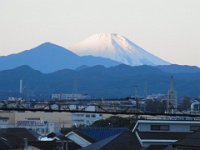 RIMG0238