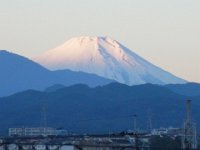RIMG0239