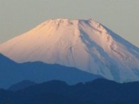 RIMG0244