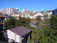 RIMG0259