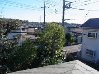 RIMG0263